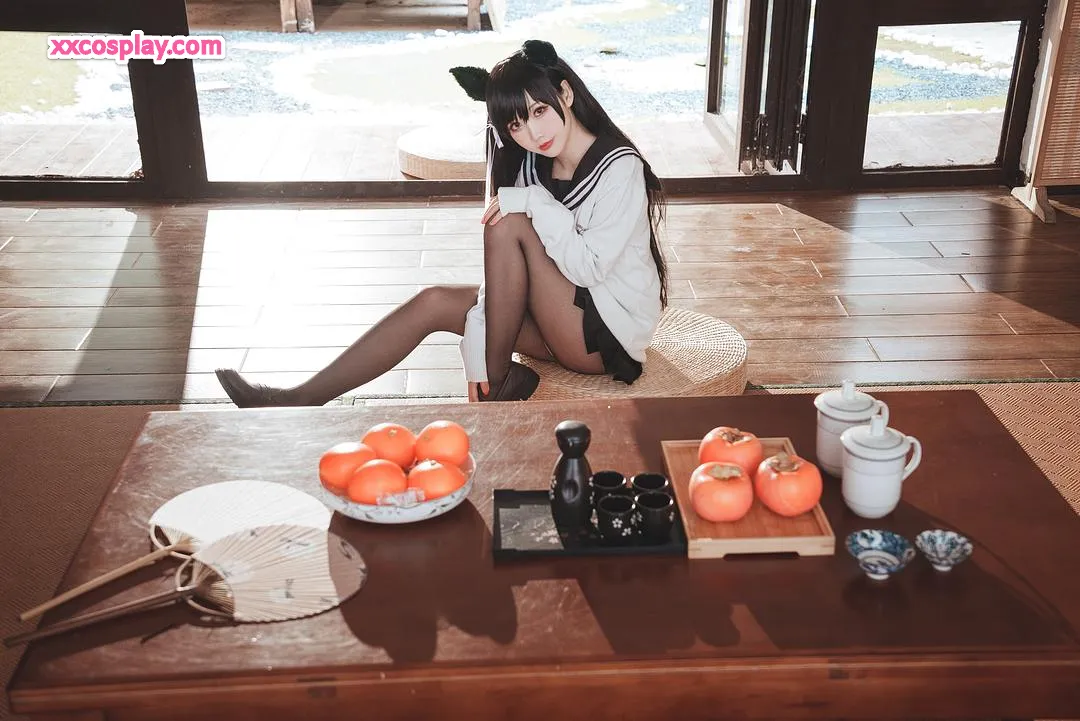 Mianbingxianer: Atago JK 2